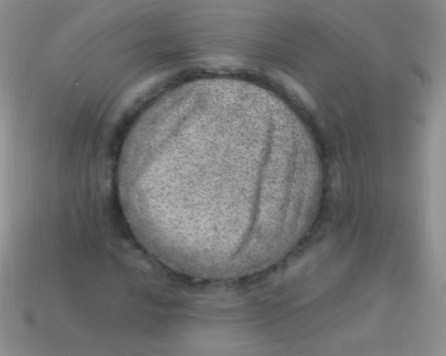 X0000113641016200910162033