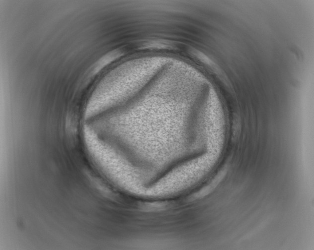 X0000113641017200910162033