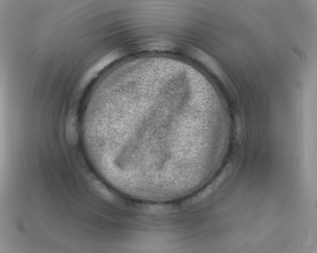 X0000113641018200910162033