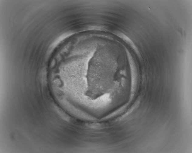 X0000113641019200910162033