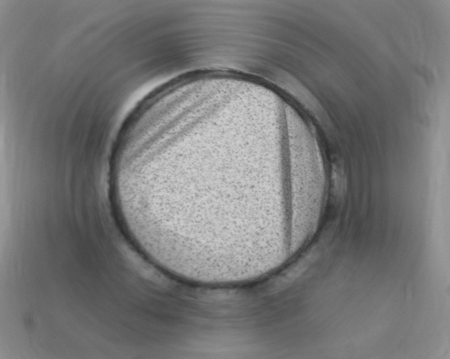 X0000113641020200910162033