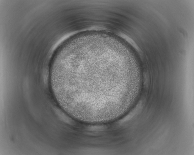 X0000113641021200910162033