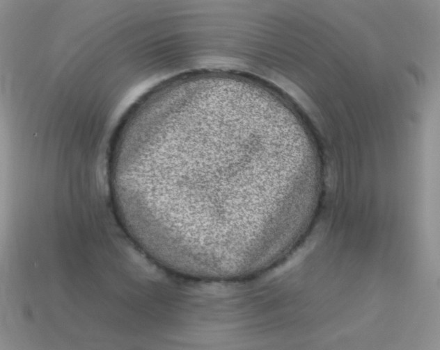 X0000113641022200910162033