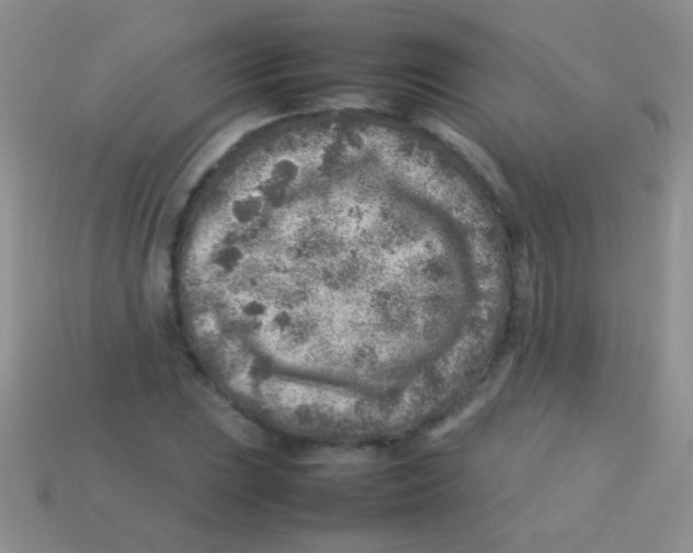 X0000113641023200910162033