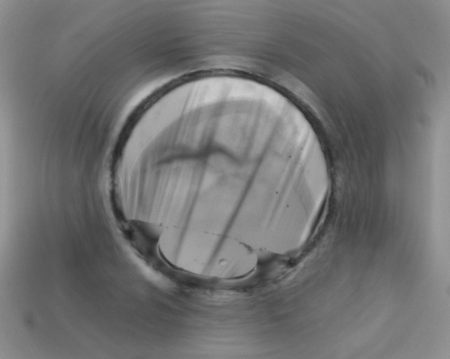 X0000113641024200910162033