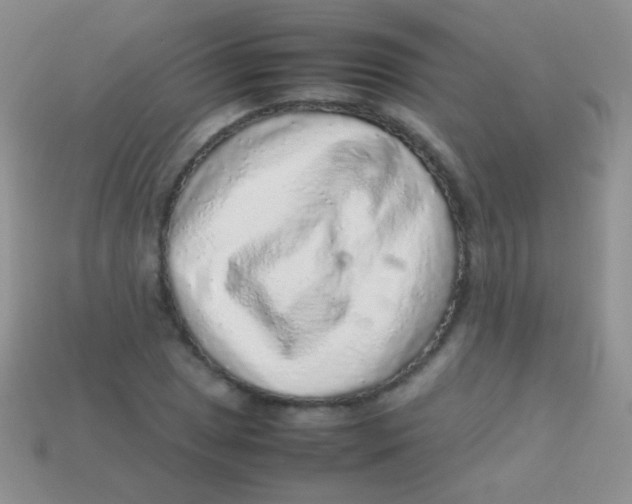 X0000113641025200910162033