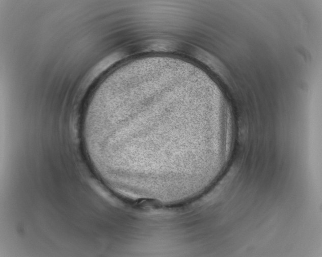 X0000113641026200910162033