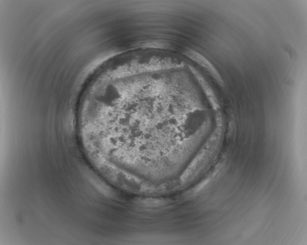 X0000113641027200910162033