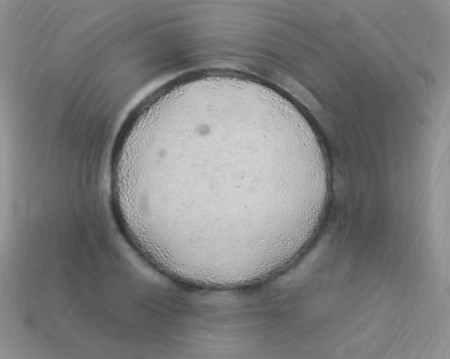 X0000113641028200910162033