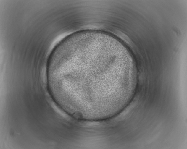 X0000113641030200910162033