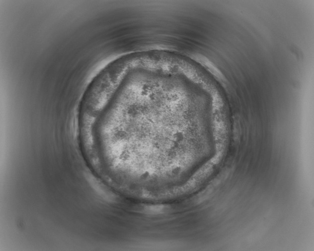 X0000113641031200910162033