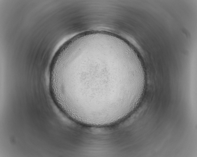 X0000113641032200910162033