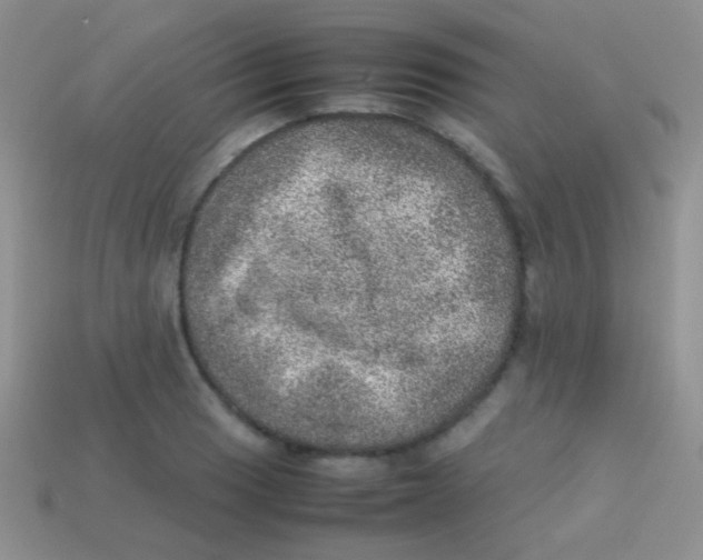 X0000113641033200910162033