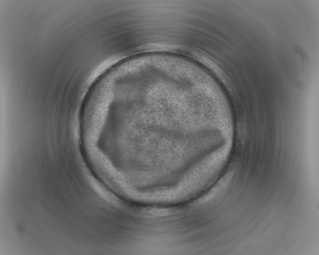 X0000113641034200910162033