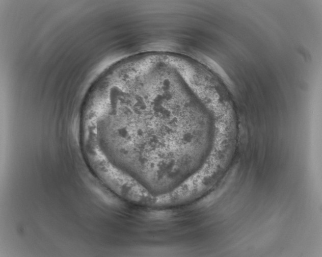 X0000113641035200910162033