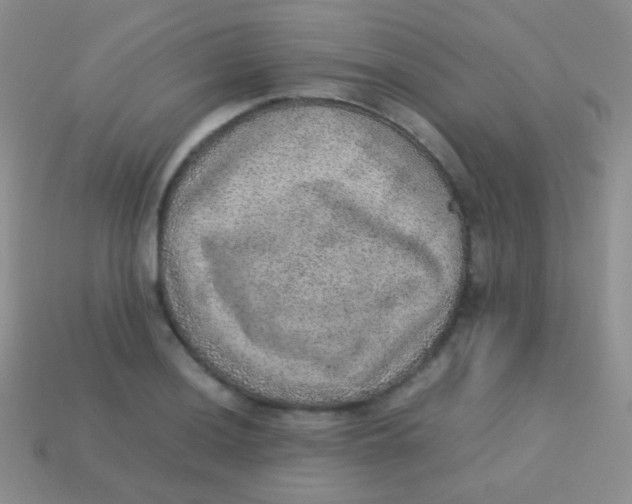 X0000113641036200910162033