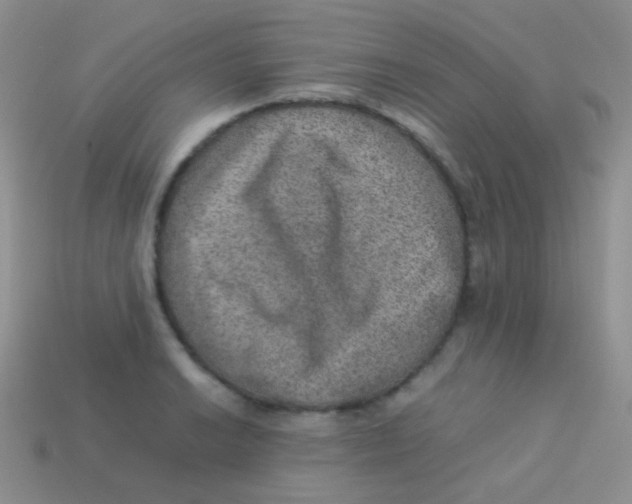 X0000113641038200910162033