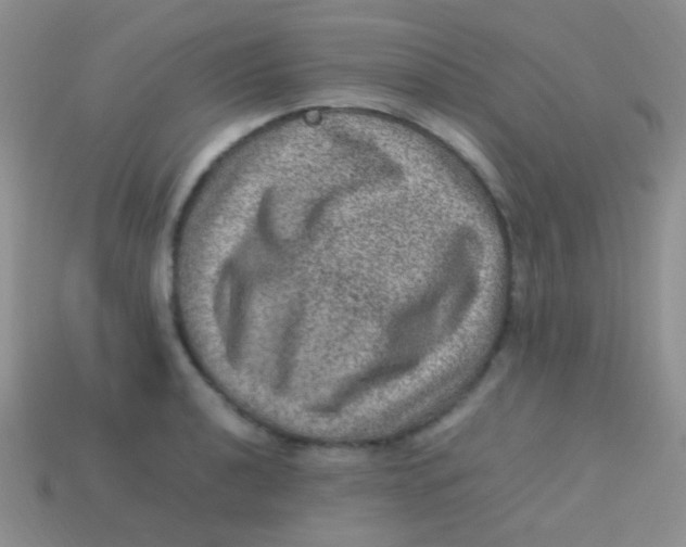 X0000113641040200910162033