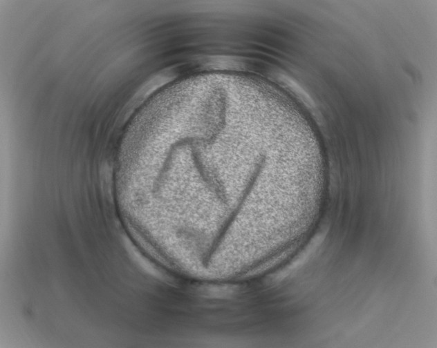 X0000113641041200910162033