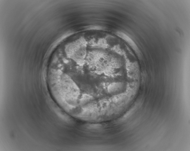 X0000113641043200910162033