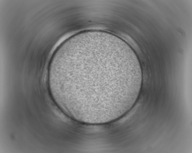 X0000113641044200910162033