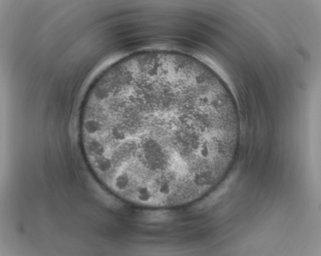 X0000113641045200910162033