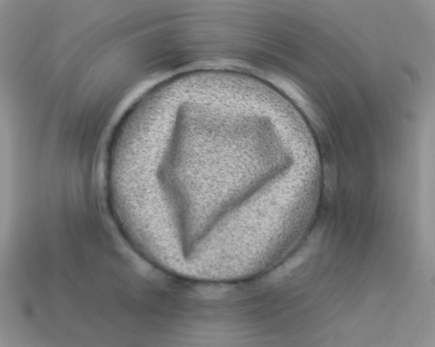 X0000113641046200910162033