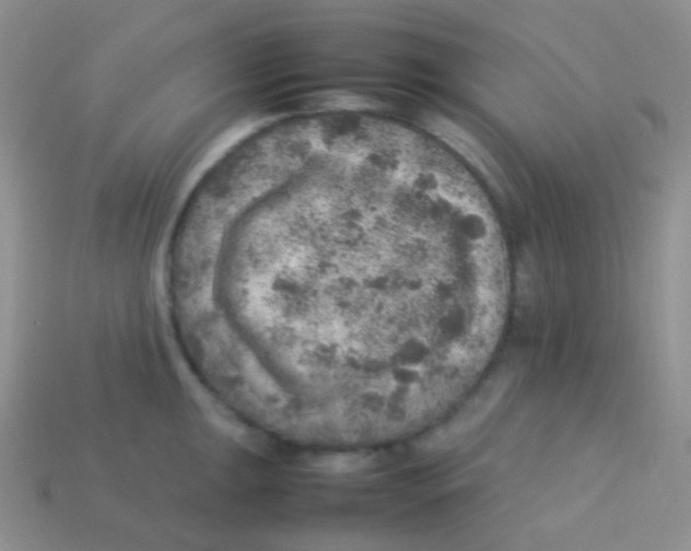 X0000113641047200910162033