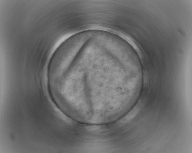 X0000113641048200910162033