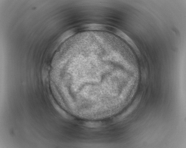 X0000113641049200910162033