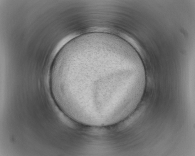 X0000113641050200910162033