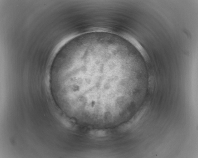 X0000113641051200910162033