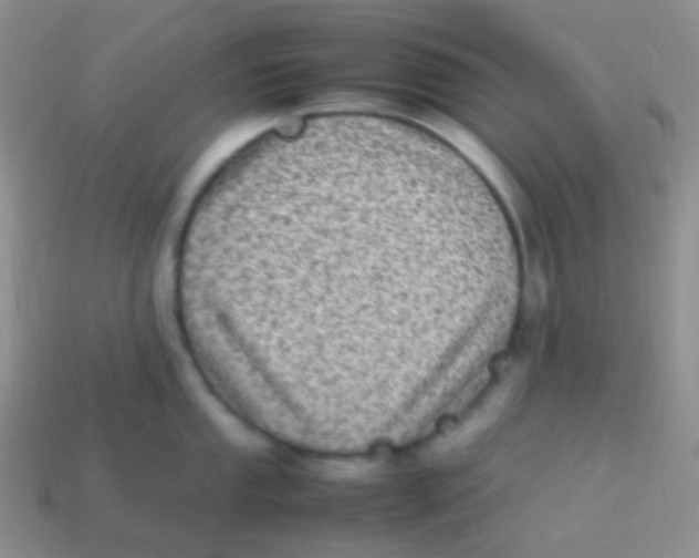 X0000113641053200910162033