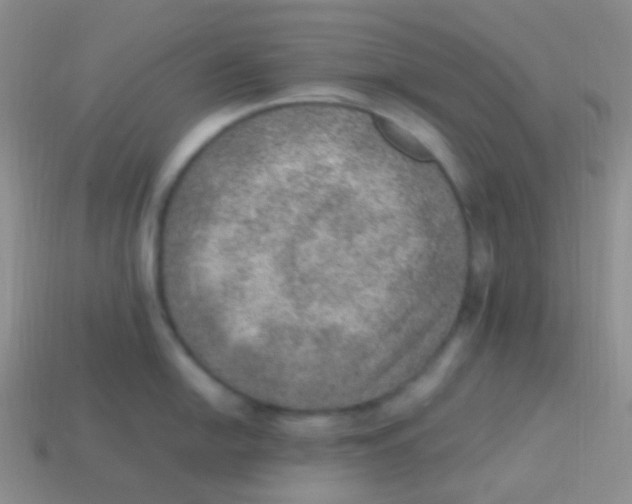 X0000113641054200910162033