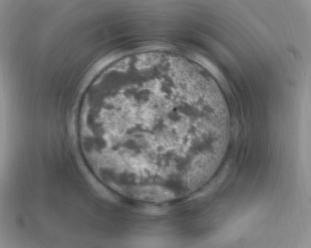 X0000113641055200910162033