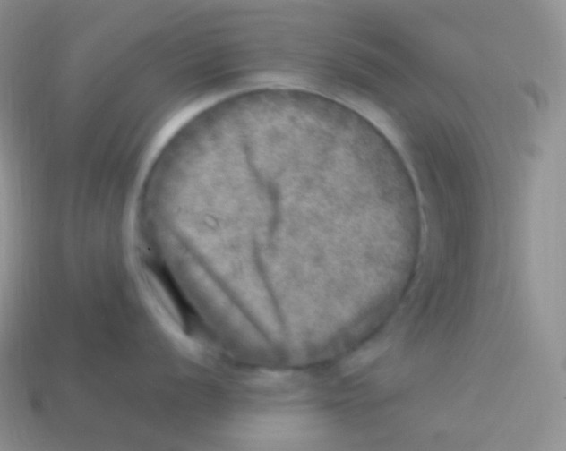 X0000113641056200910162033