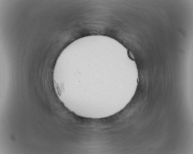 X0000113641057200910162032