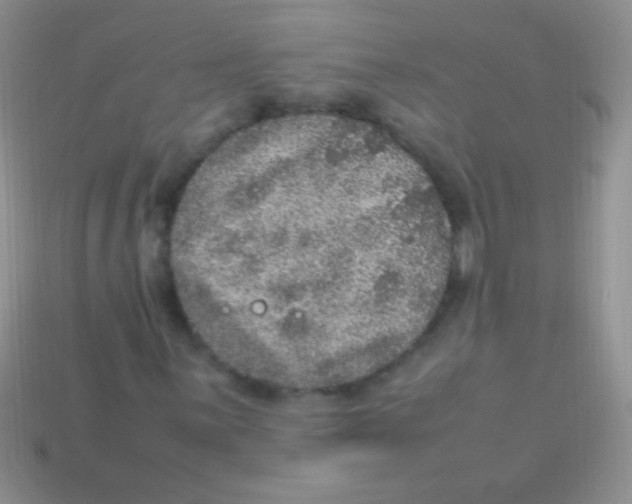 X0000113641059200910162032