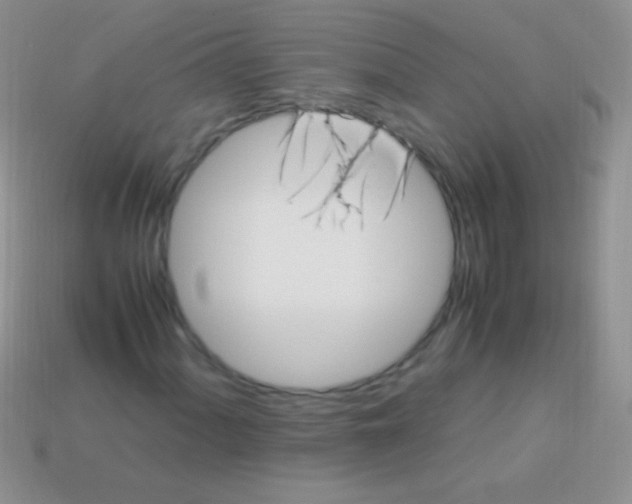 X0000113641060200910162032