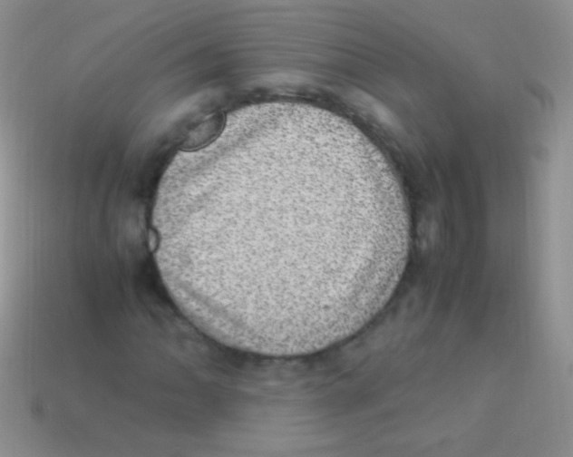 X0000113641062200910162032