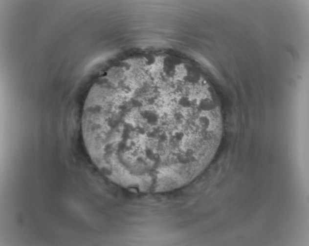 X0000113641063200910162032