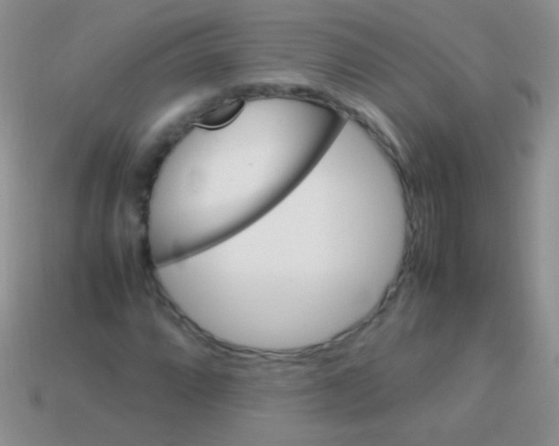 X0000113641064200910162032