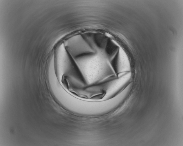 X0000113641065200910162032