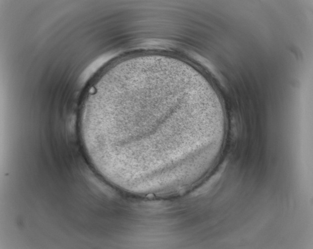 X0000113641066200910162032