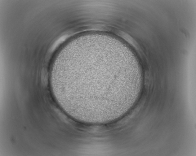 X0000113641067200910162032