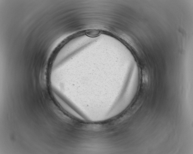 X0000113641068200910162032