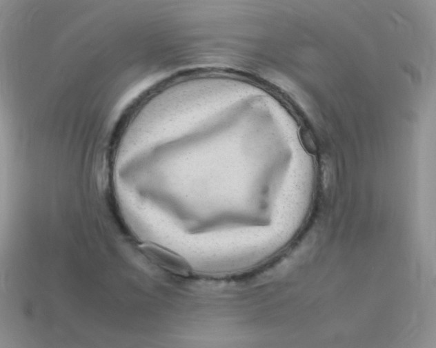 X0000113641069200910162032