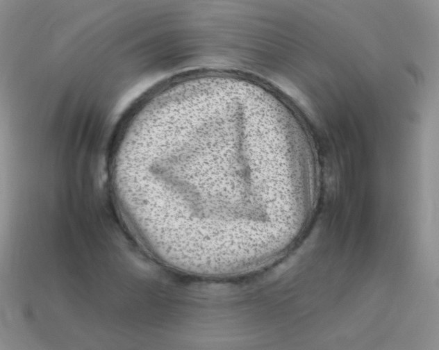 X0000113641070200910162032