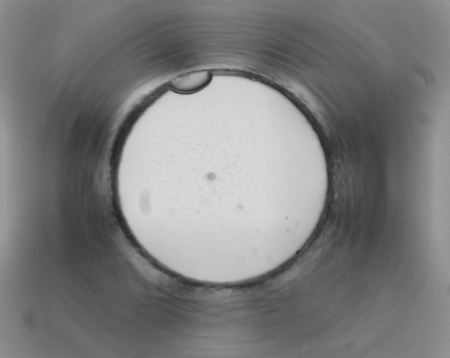 X0000113641072200910162032