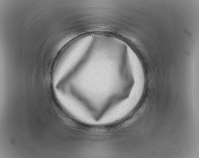 X0000113641073200910162032